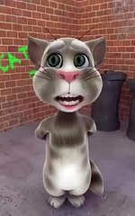 Talking Tom Dallas Cowboys