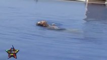 Bollywood News _ Sexy Sofia Hayat'S Tits Show In Swimming Pool At Bikini Shoot