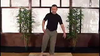 Scott Sonnon Intuflow Joint Mobility Intermediate Part 3