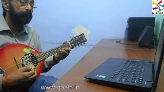 Mandolin Lessons Online Beginners Classes Trainer Instructor Skype Carnatic Music Guru Teacher India