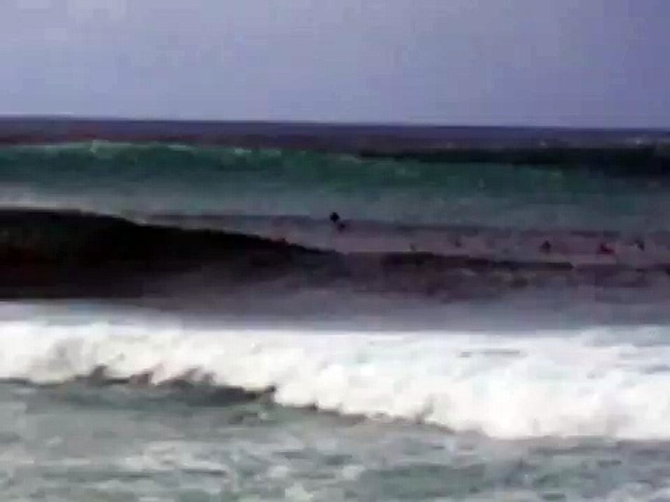 NORTH SHORE 12 feet waves