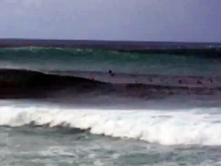 NORTH SHORE 12 feet waves