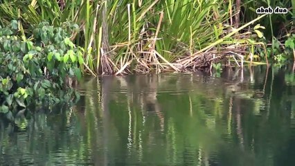 Amazing fishing Mancing Mania Hunters UplHD 14/09/2015