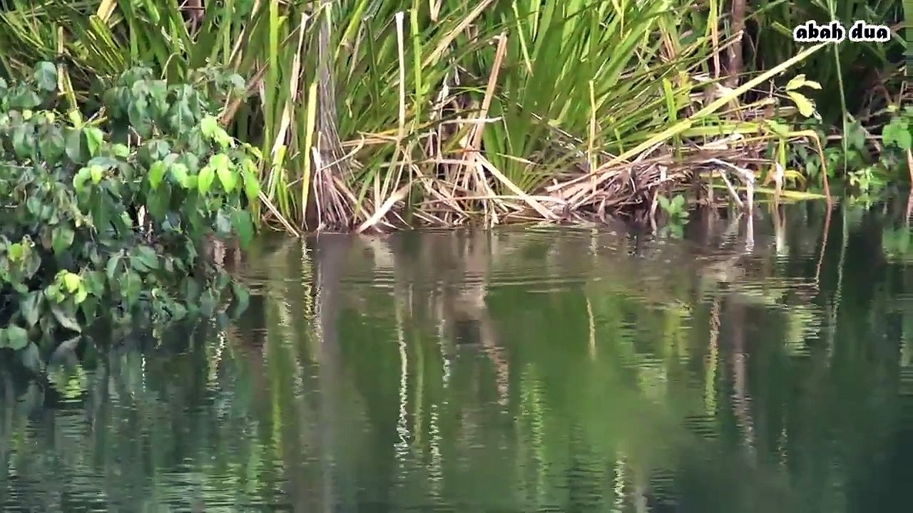 Amazing fishing Mancing Mania Hunters UplHD 14/09/2015