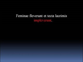 29 Lateinvokabeln I-K31