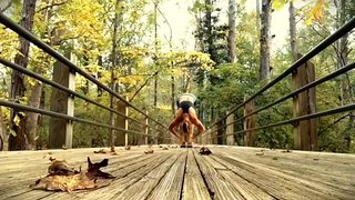 Yoga Balance Flow: Wild Animal