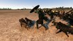 Total War  Attila   3,500 Dogs Besiege 200 Elephants | elephants and dogs | elephants and dogs
