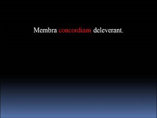 31 Lateinvokabeln I-K33 und 34