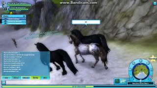Star Stable Online Wild Horses Lost and hurt part 1