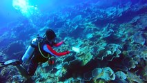 Scuba Diving with GoPro in El Nido, Philippines