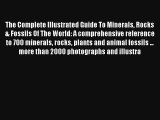 Read The Complete Illustrated Guide To Minerals Rocks & Fossils Of The World: A comprehensive
