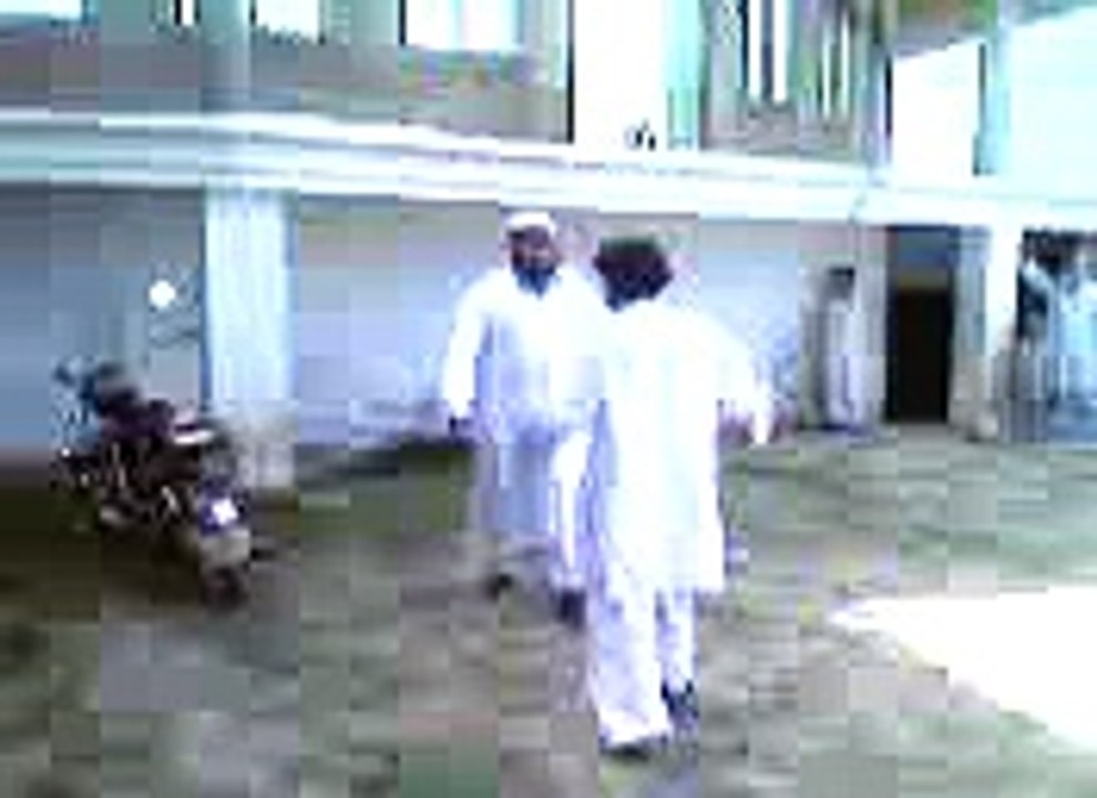 funny videos