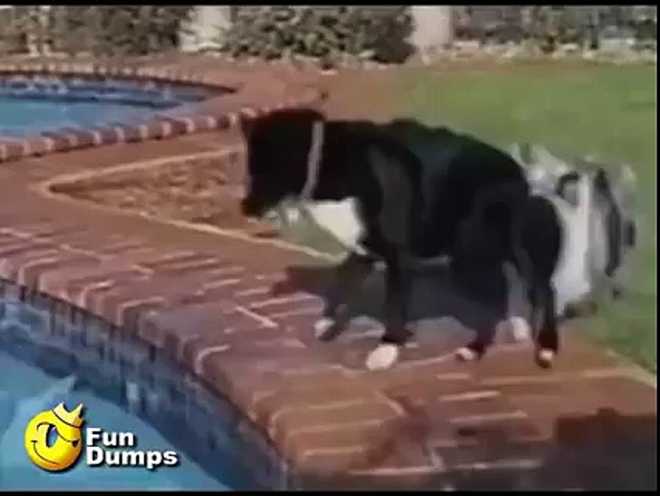 Funniest And Craziest Videos_2