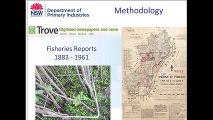 Patrick Dwyer: Historical harvesting of River Mangrove for use as 'oyster sticks' in NSW.