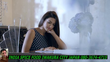 Rahat Fateh Ali Khan - Zaroori ThaーHD ハラルスパイス岩倉市ジャパンSPICE FOOD JP_1