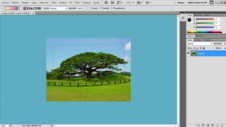 Enmarcando una fotografía en PhotoShop Tutorial número 5