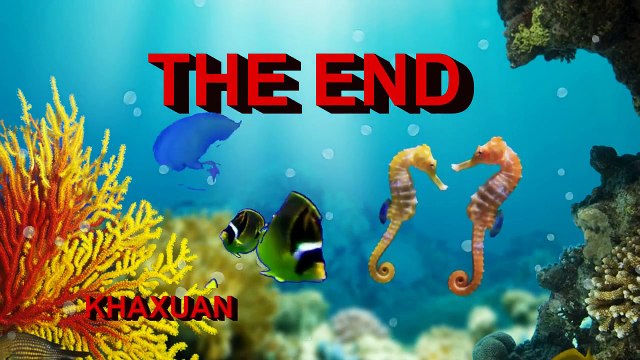 Mongolia Travel and tours | Grassland Song - Wulan Tuoya-Inner Mongolia