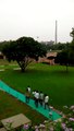 Rajghat,Mahatma Gandhi Memorial,New Delhi