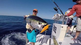 Scott Reef Sports Fishing