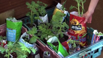 Emily Dutton, Gardens Access and Learning Officer