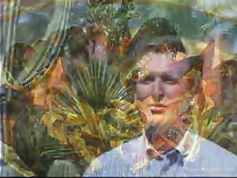 PRESIDENTE INTERCONTINENTAL LOS CABOS RESORT ( Ultimate Destinations ) Better Living