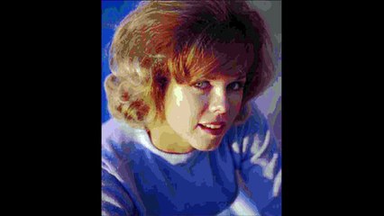 A TRIBUTE TO SUE HAMILTON