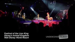 Short Cuts   Festival of the Lion King, Disney's Animal Kingdom, Walt Disney World Resort