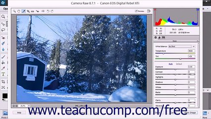 Photoshop Elements 13 Tutorial Adjusting White Levels Adobe Training