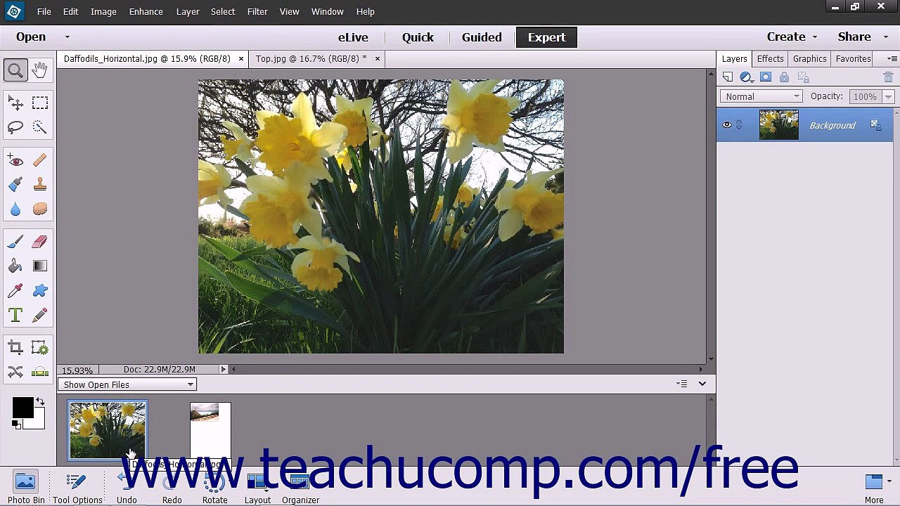 Photoshop Elements 13 Tutorial The Photo Bin Adobe Training