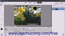 Photoshop Elements 13 Tutorial The Undo Command & Undo History Panel Adobe Training