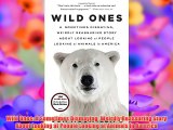 Wild Ones: A Sometimes Dismaying Weirdly Reassuring Story About Looking at People Looking at