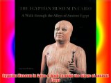 Egyptian Museum In Cairo: A Walk Through the Alleys of Ancient Egypt Download Free Books