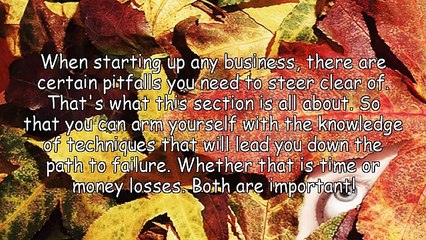 The Newbie's Guide To Profiting Online Part 6