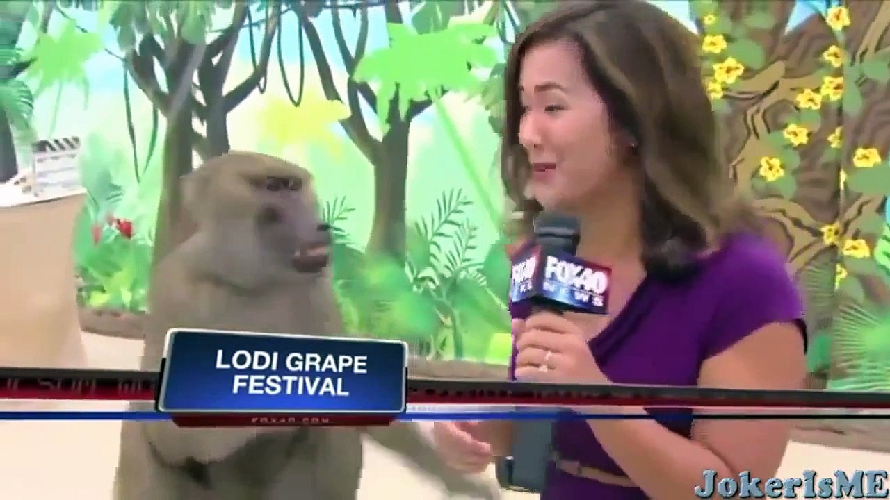 Funny videos : Funniest laughing bloopers ever