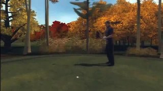 Tiger Woods PGA Tour 08