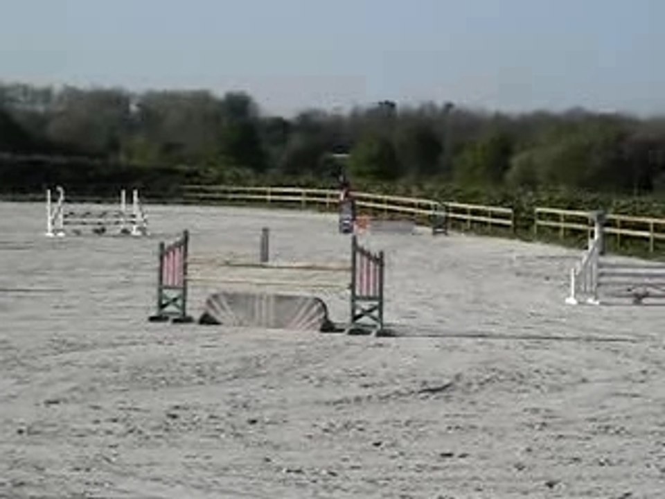 MOV00878