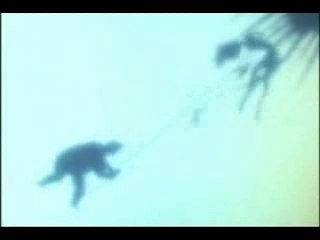 yu yu hakusho kick me when i'm down