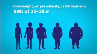 What is Obesity.mp4