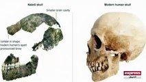Amazing Videos Science Has Found Old Human Skull