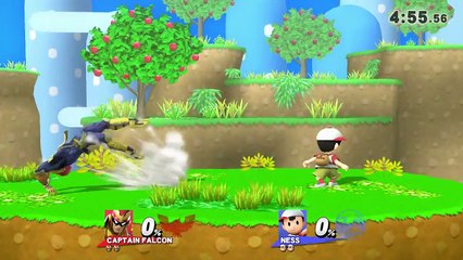 Super-Smash-Bros-Wii-U-(For-Glory)-Captain-Fa