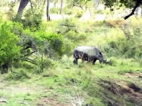 Gods Window in Zuid Afrika en Kruger land en Lied 55
