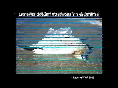 Bolsas de Plástico.... Un problema mundial