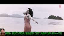 'Tu Hai Ki Nahi' Video Song  Roy  Ankit Tiwari  Ranbir Kapoor, Jacqueline Fernandez, ーHD ハラルスパイス岩倉市ジャパンSPICE FOOD JP_1