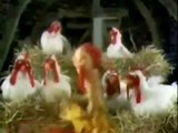 The Muppet Show Chickens    Happy Birthday to You