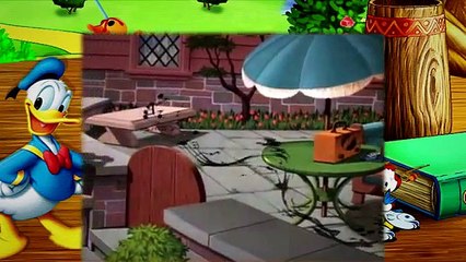 22  Donald Duck Slide Donald Slide 1949