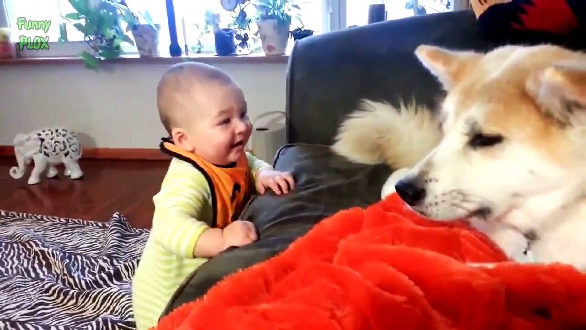 adorable babies playing with dogs and cats