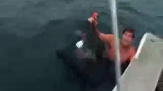 Shark Attack Near Miss Gold Coast