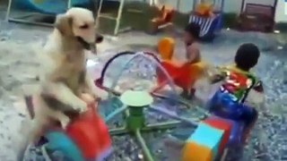 Funny videos that make you laugh so hard you cry ★ Funny video 2016