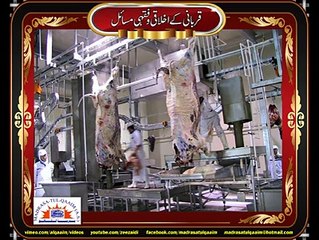 ذبح کے وقت کونسی دعا پڑھنی ضروری ہے؟