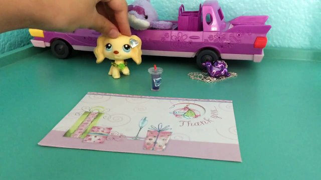 Lps eBay package part two 2